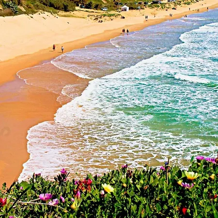 Apartamento La Azucena