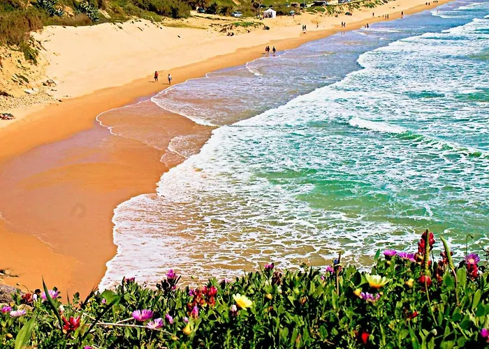 Apartamento La Azucena